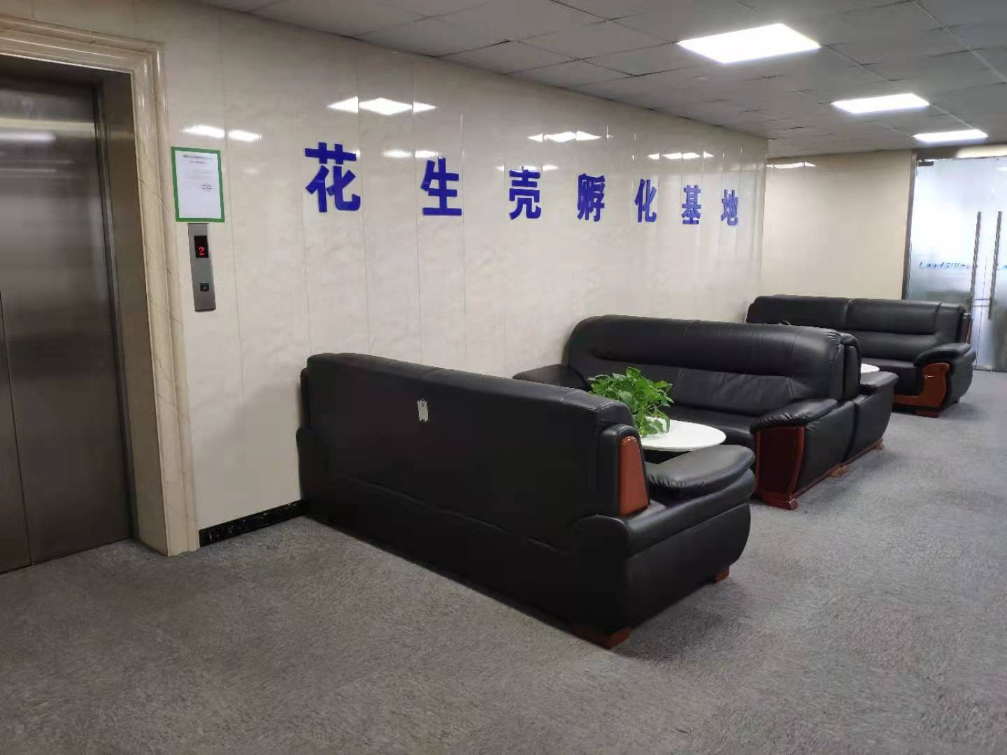 自贸区花生壳企业中心 自贸区花生壳企业中心办公室出租